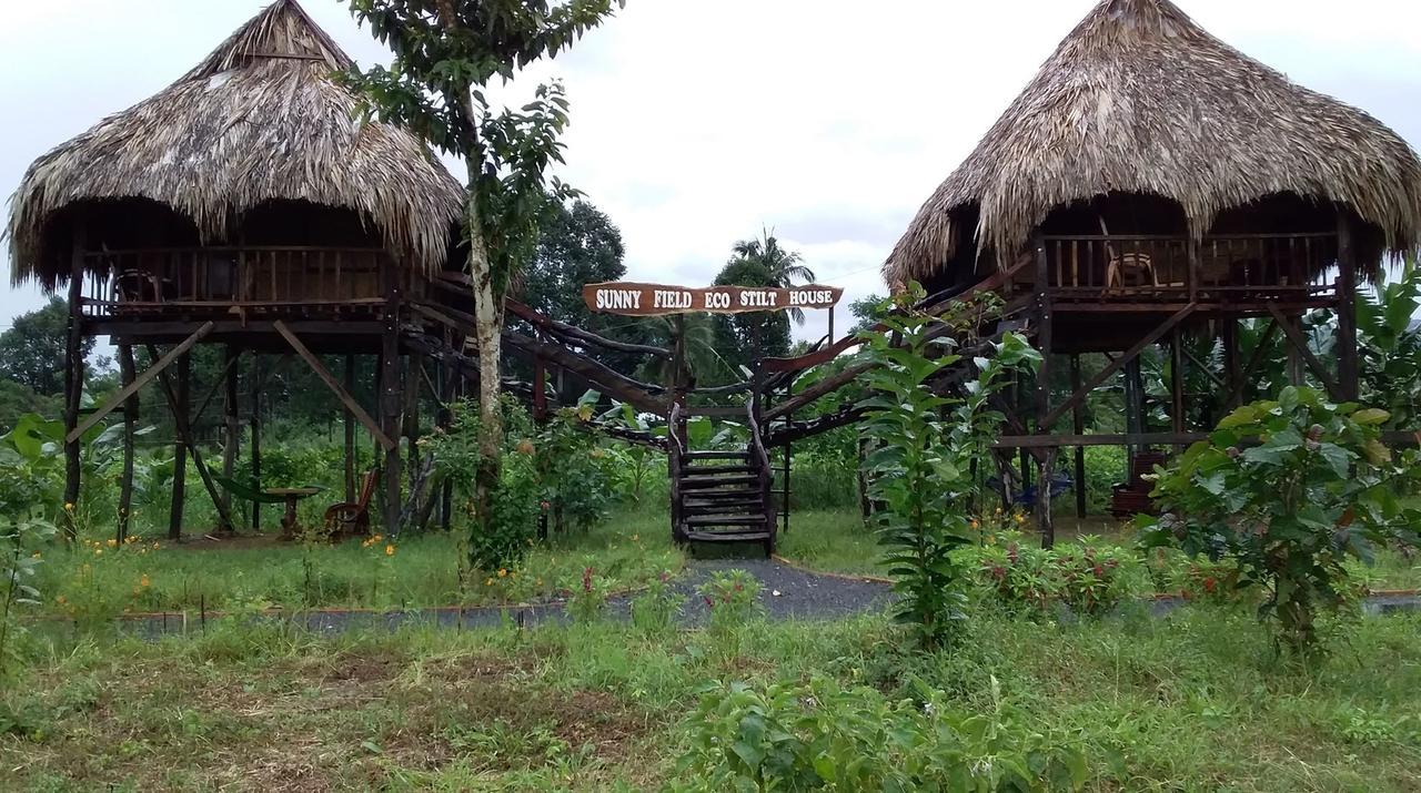 Sunny Field Eco Stilt House Villa Cát Tiên Dış mekan fotoğraf