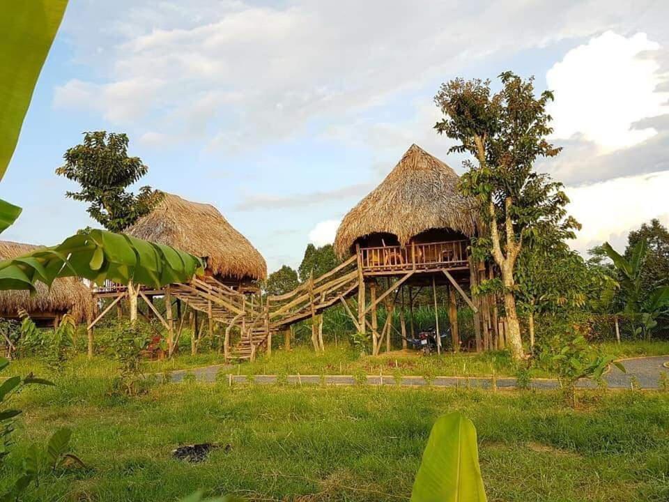 Sunny Field Eco Stilt House Villa Cát Tiên Dış mekan fotoğraf